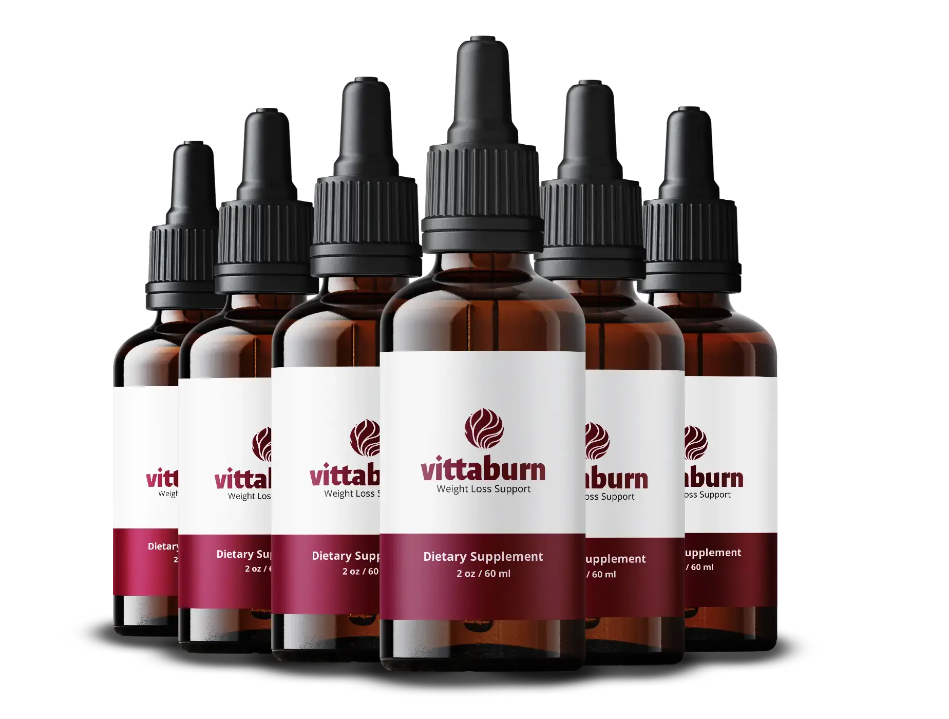 VittaBurn 6 bottle package