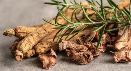 Siberian Ginseng ingredient